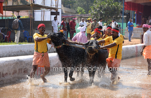 Devu Poonja Jodukare Kambala